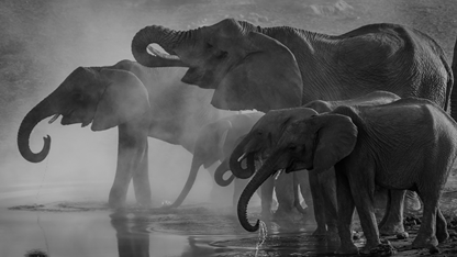 PostgreSQL 14会破坏其官方的.NET和Java驱动